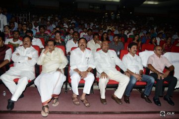 Lion Movie Audio Launch
